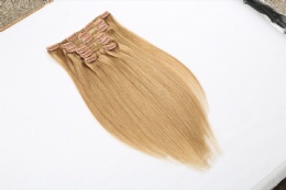 Honey Blonde Virgin Human Hair Clip In Indian Human Hair Extensions